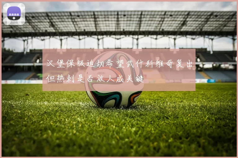 汉堡保级迫切希望武什科维奇复出但热刺是否放人成关键