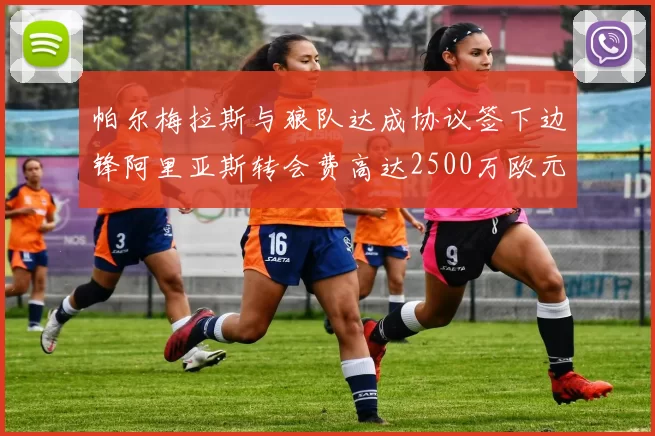 帕尔梅拉斯与狼队达成协议签下边锋阿里亚斯转会费高达2500万欧元