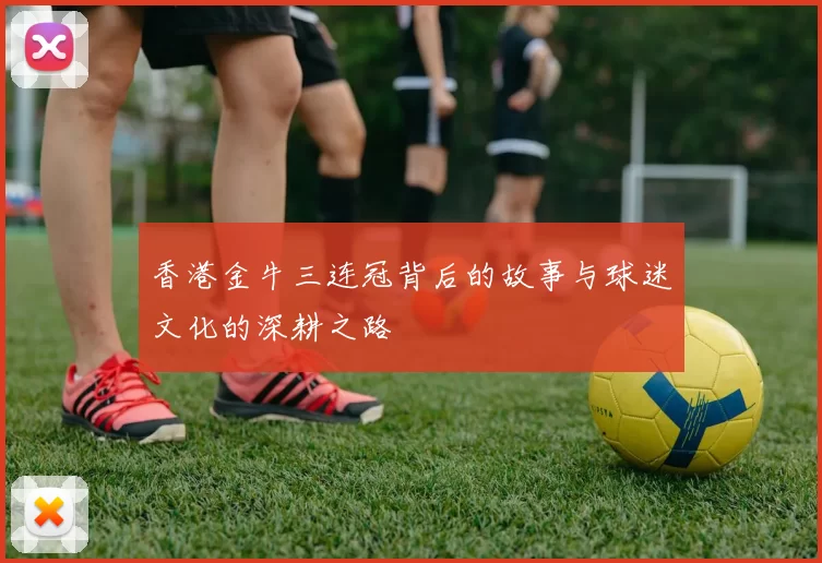 香港金牛三连冠背后的故事与球迷文化的深耕之路