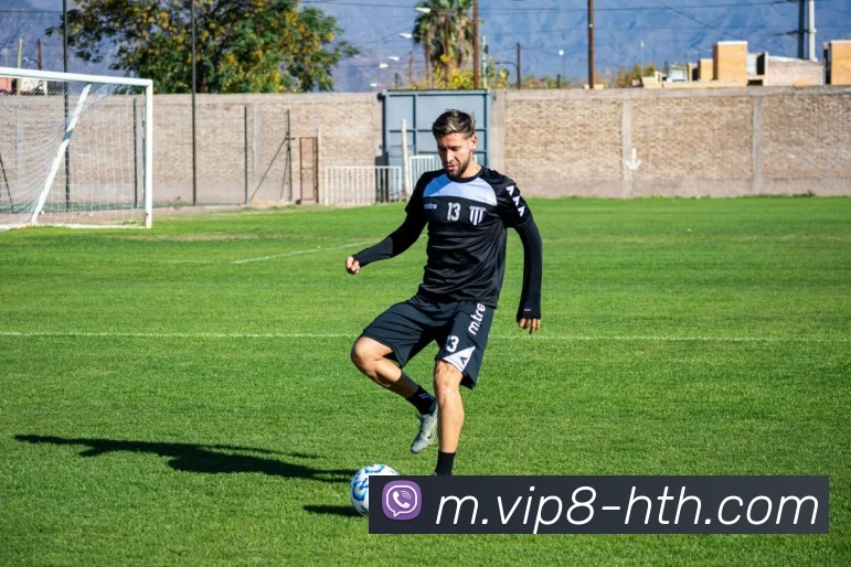 华体会平台生态图